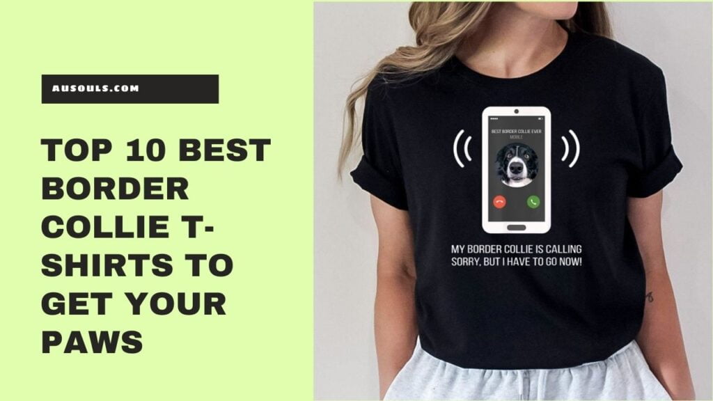 Top 10 Best Border Collie T-Shirts to Get Your Paws