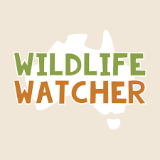 Wildlife watcher