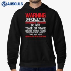 13 Years Old Warning Dangerous nager 13th Birthday Hoodie