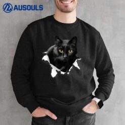 Black Cat Torn Cloth Gifts For Cat Lover Cat Dad Cat Mom Sweatshirt