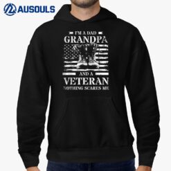 I'm A Dad Grandpa And A Veteran Nothing Scares Me USA Flag Hoodie