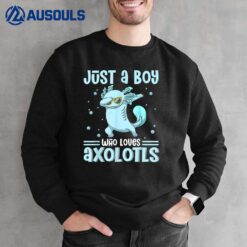 Just a Boy Who Loves Axolotls Funny Axolotl Gamer Boys Kids Sweatshirt