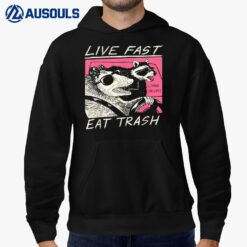 Live Fast Eat Trash And Get Hit By A Car - Sunset Raccoon Hoodie