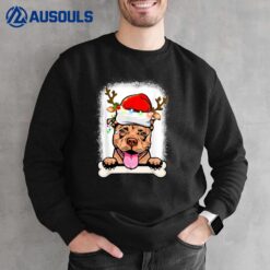 PitBull Christmas Decorations Pajama Santa Hat Tree Light Sweatshirt