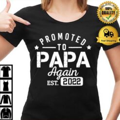 Promoted To Papa Again 2022 First Time Papa New Dad Daddy T-Shirt