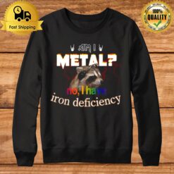 Raccoon Am I Metal No I Have Iron Deficiency Sweatshirt