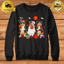 Three Australian Shepherd Dogs Witch Scary Mummy Halloween Sweatshirt