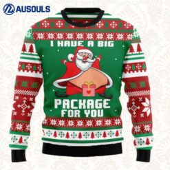 I Have A Big Package For You Ugly Sweaters For Men Women Unisex