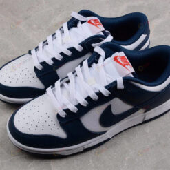 Nike Dunk Low Retro USA Shoes Sneakers