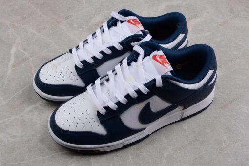 Nike Dunk Low Retro USA Shoes Sneakers