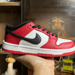 Nike Dunk Low SB 'J-Pack Chicago' Shoes Sneakers