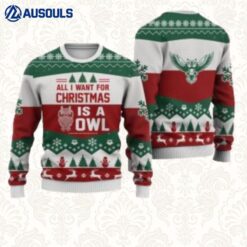 Owl All I Want For Christmas Ugly Sweaters For Men Women Unisex