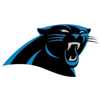 Gifts for fan of Carolina Panthers